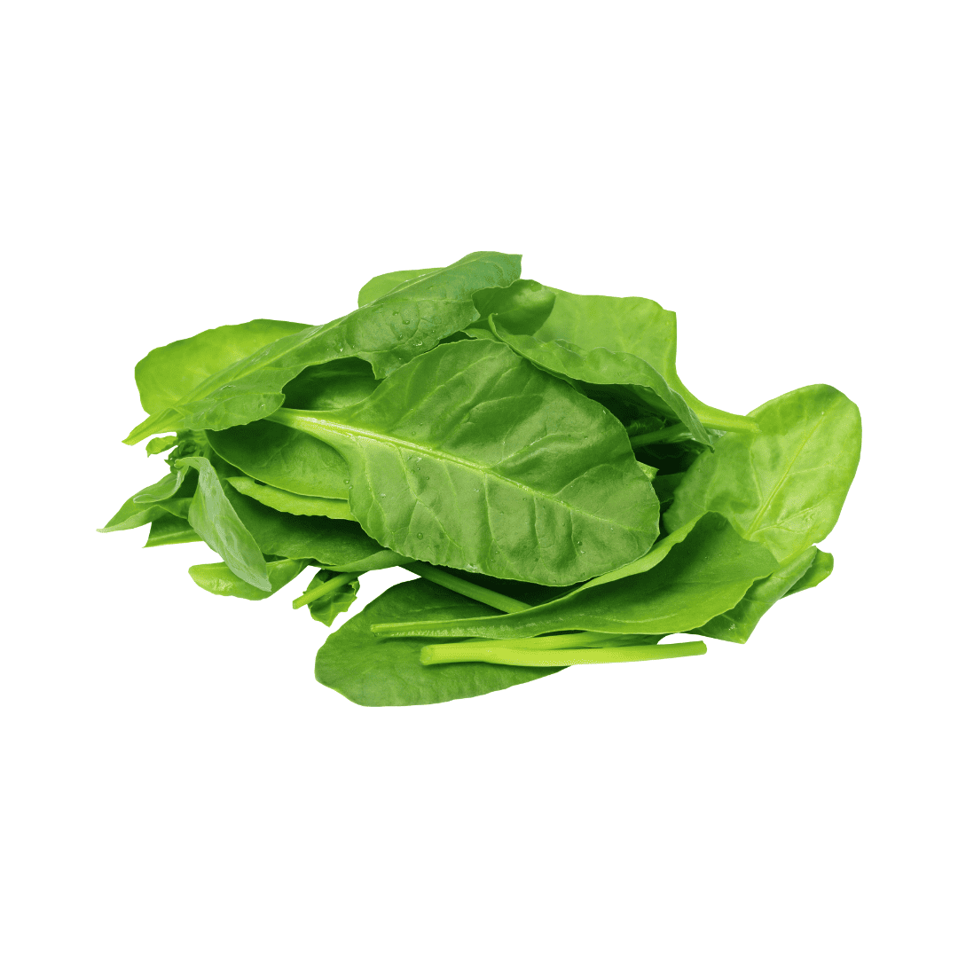 ESPINACA