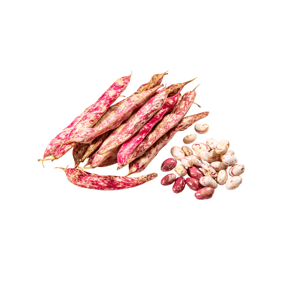 FRIJOL EN CASCARA