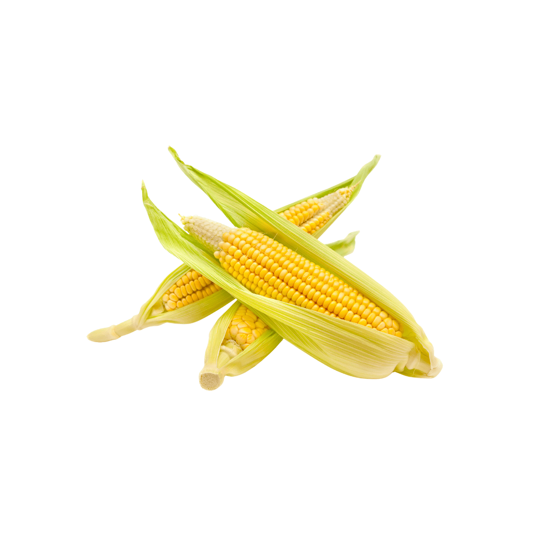 MAZORCA BOGOTANA