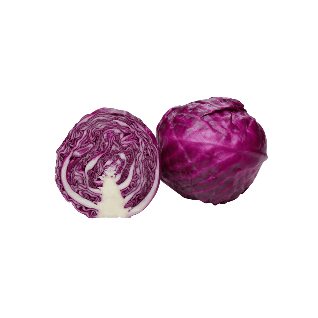 REPOLLO MORADO