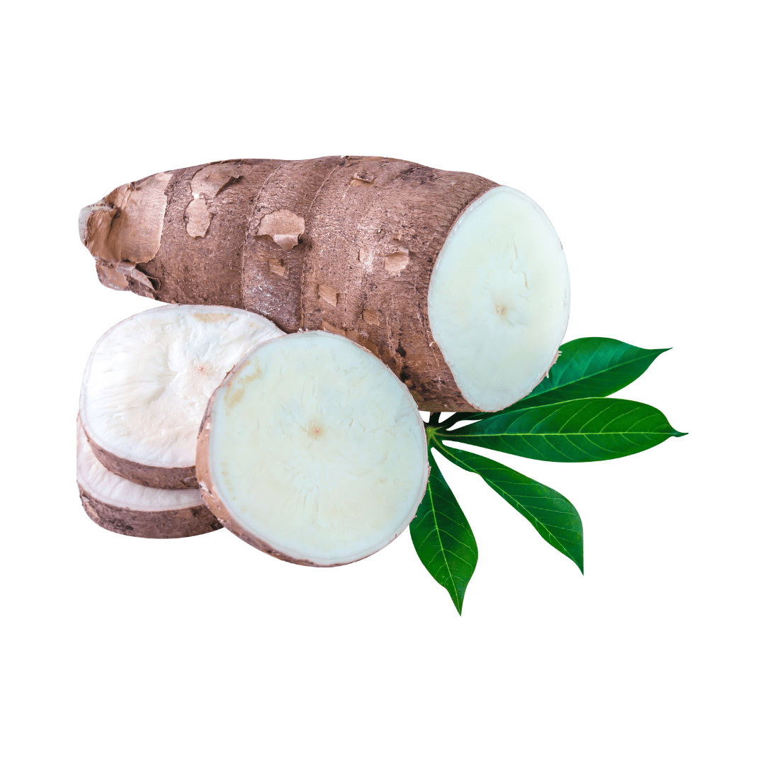 YUCA