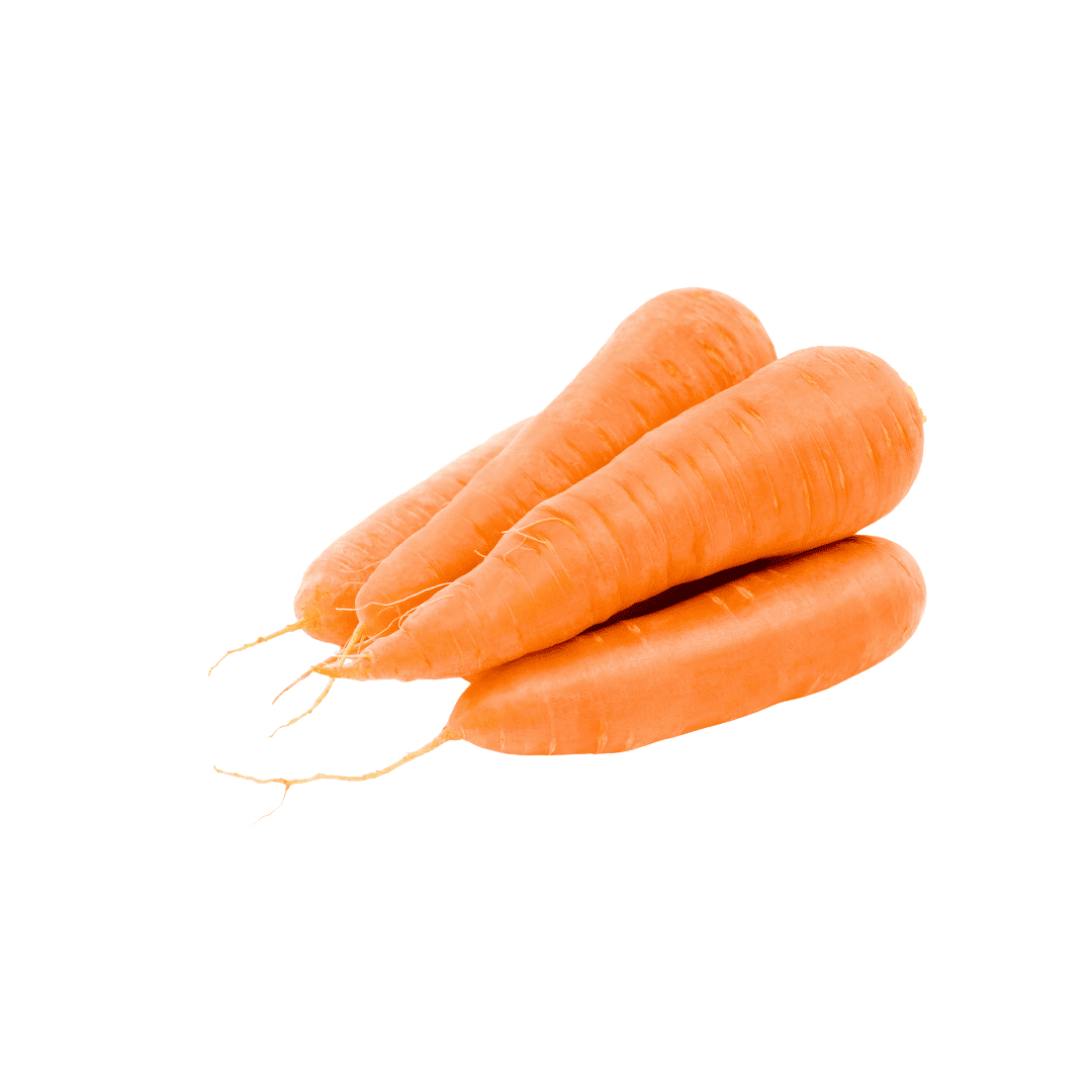 ZANAHORIA