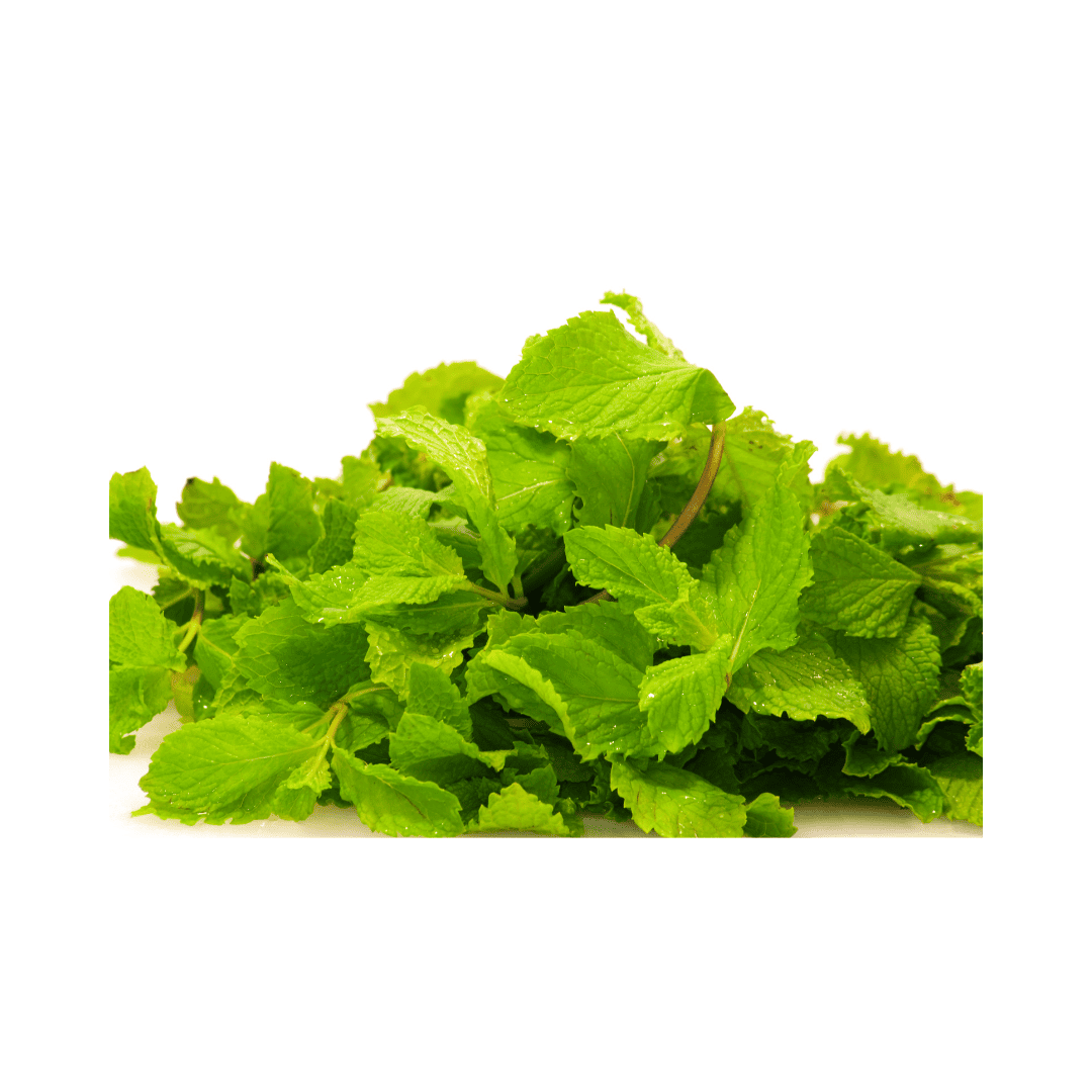 YERBABUENA