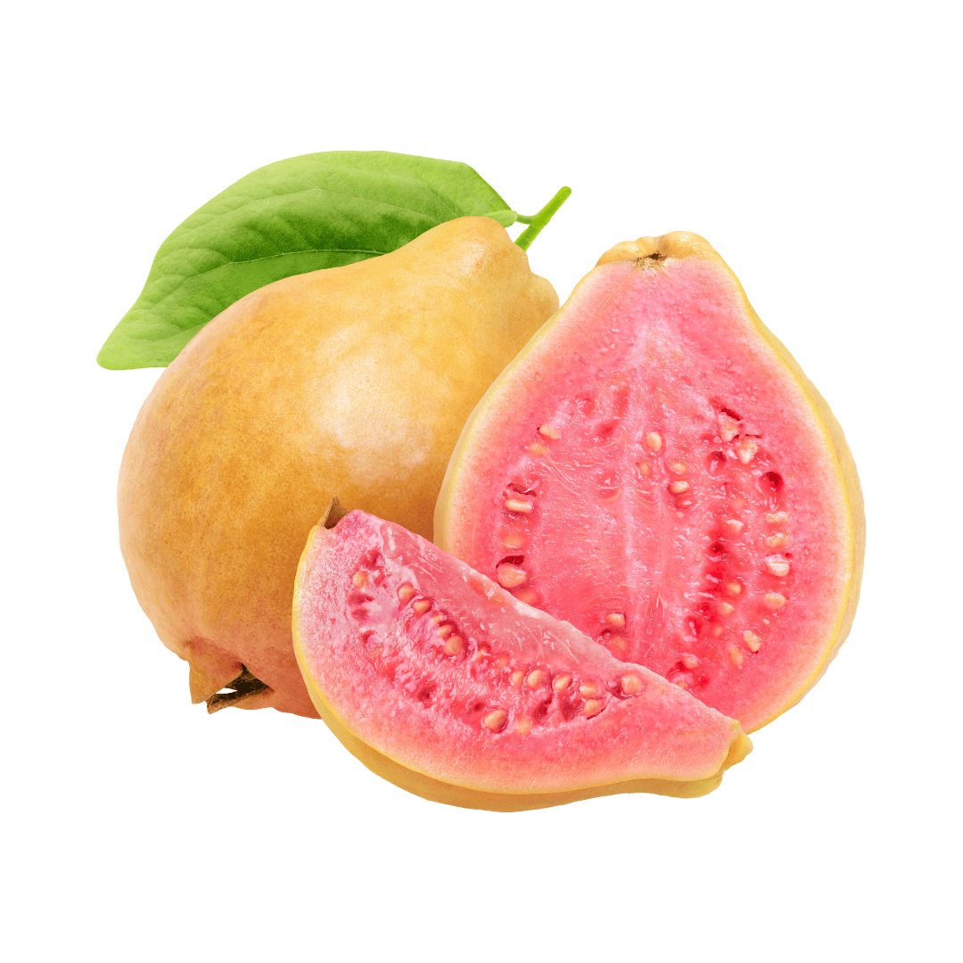 GUAYABA