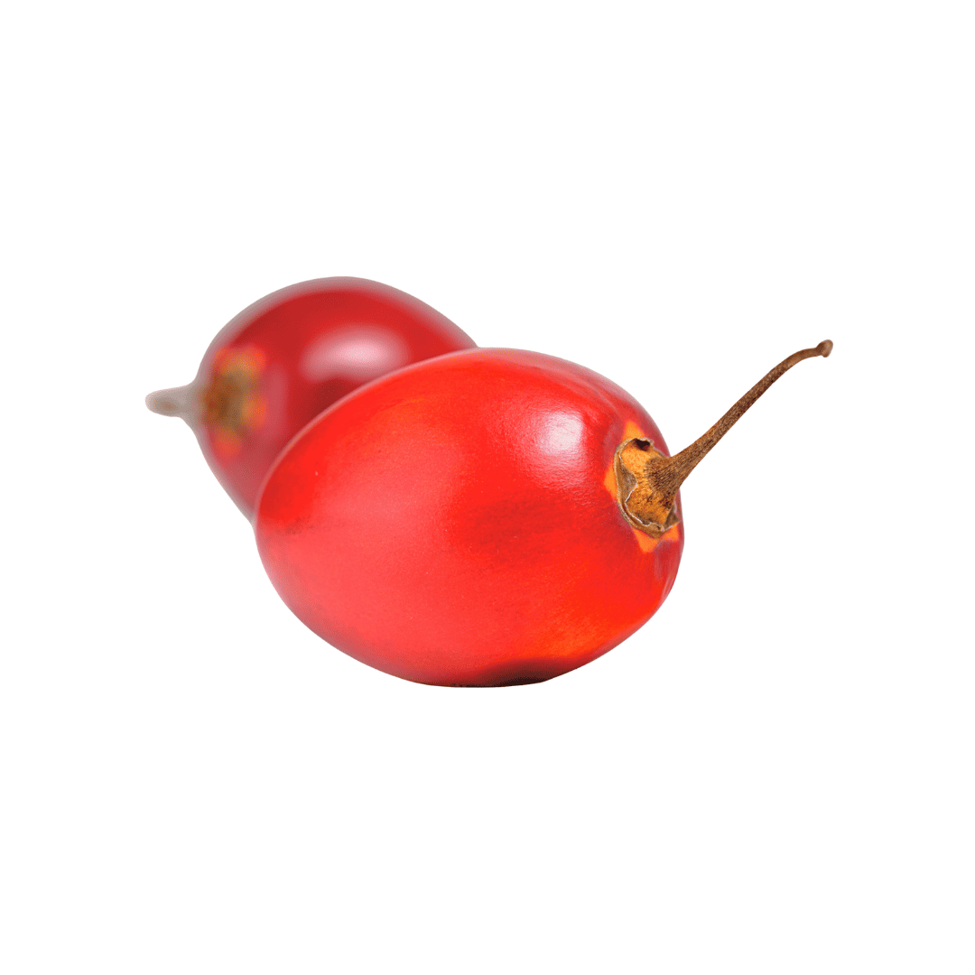 TOMATE DE ARBOL