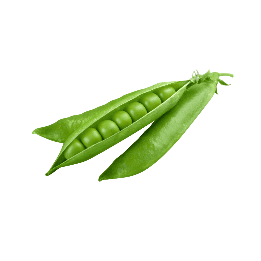ARVEJA EN CASCARA