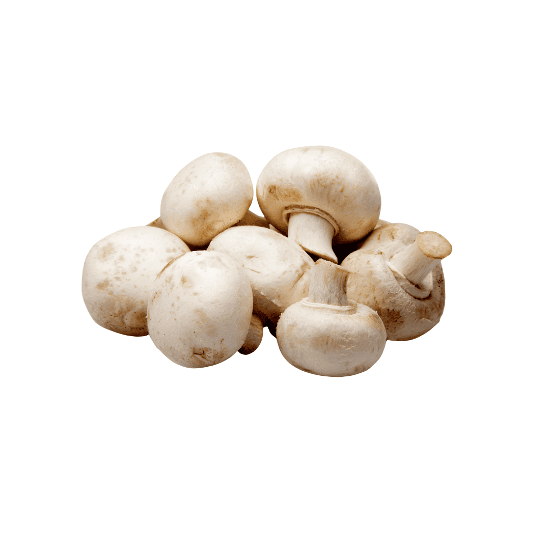 CHAMPIÑONES